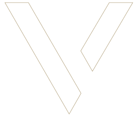 Logo Vip Partner avec uniquement les contours
